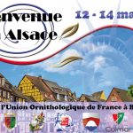 Le Congrès de l’Union Ornithologique de France