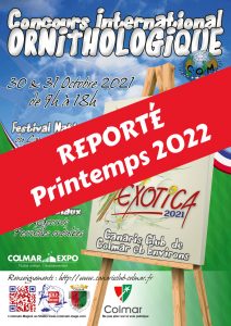 Exotica-2021-REPORTE